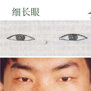 人的眼睛从外形的角度来看有哪些类型？ - 知乎
