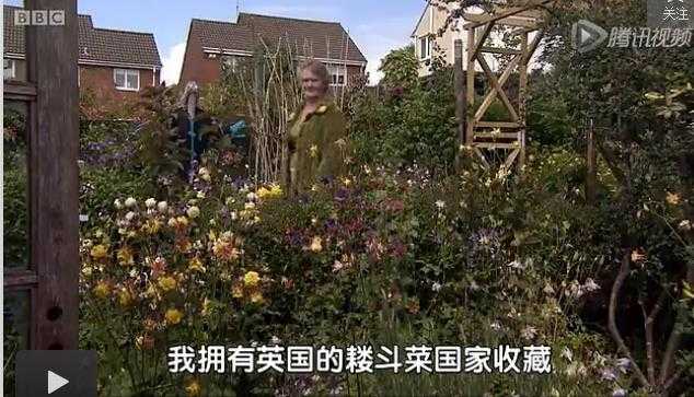 英国花园有什么独到之处 知乎