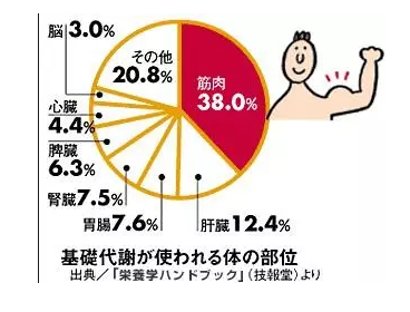 什么是不健康不有效的瘦身？（内附瘦身方法）