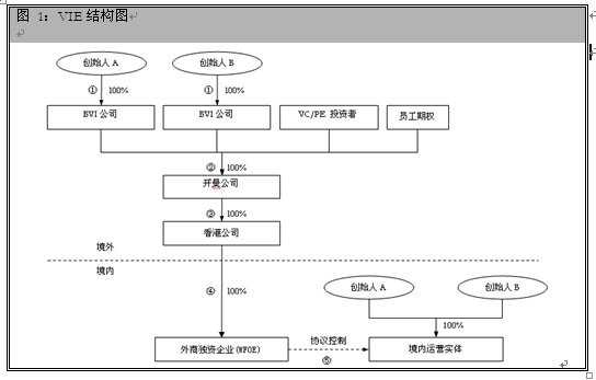 vie 转移利润 外汇管制
