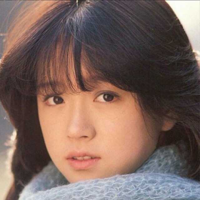 激安 中森明菜 その他 Hlt No