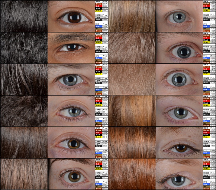 ps:金发碧眼也不是绝对联系的,蓝眼睛黑头发或者金发黑眼也是可能的
