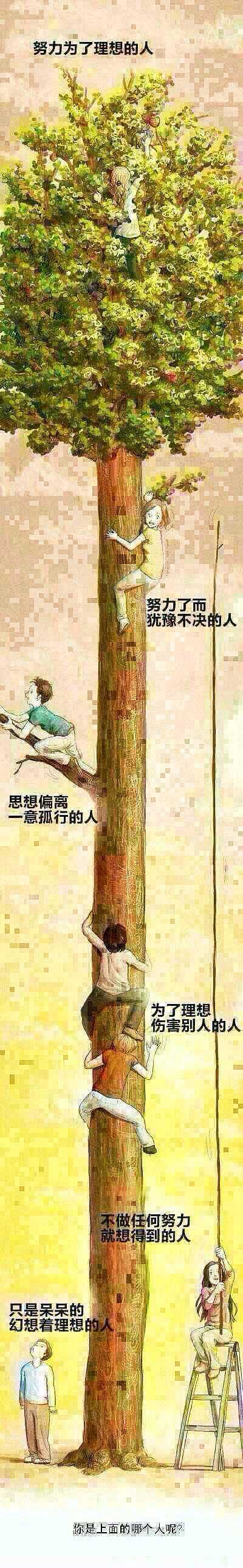 不断追求,不断尝试,别急于求成,直到找到真正喜欢的.