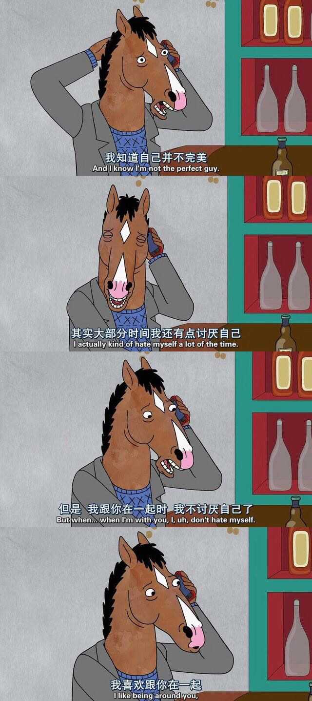 呀【bojack horseman 超爱它的 下面台词么先后顺序【它是动画片哟