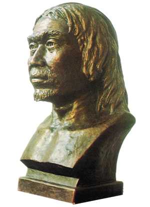 如果人类的祖先是猴子,为什么猩猩这支没进化成人?