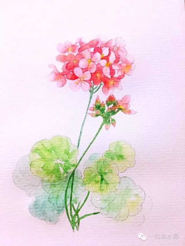 水彩初学者用什么颜料好 知乎 水彩初学者用什么颜料好 知乎