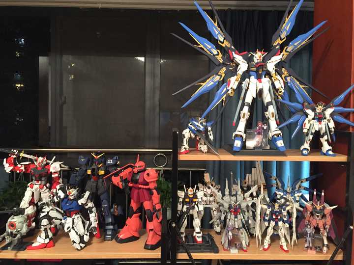 hg和rg比例的高达模型有收藏价值吗?是否mg和pg的才具有收藏价值?