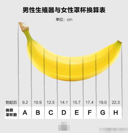 中国男性阴茎尺寸标准是多少？