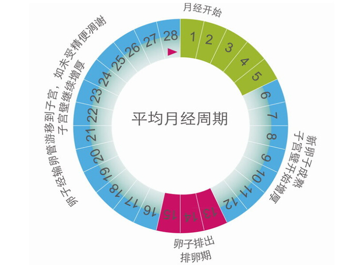 用妈富隆或者优思明来调节月经怎么样？ 知乎 