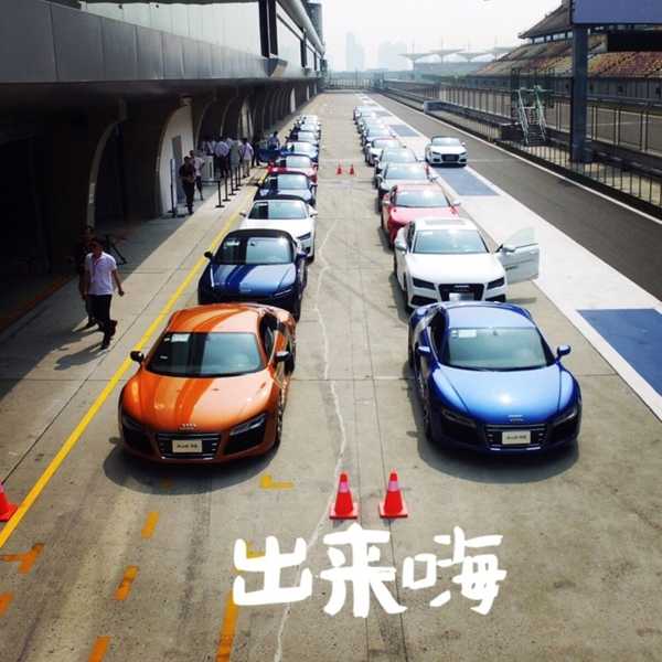 如何看待马路上撞死动物的问题 知乎