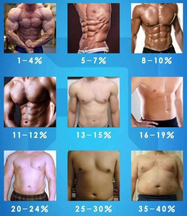 体脂12 的人过的是什么样的生活 知乎 体脂12 的人过的是什么样的生活 知乎