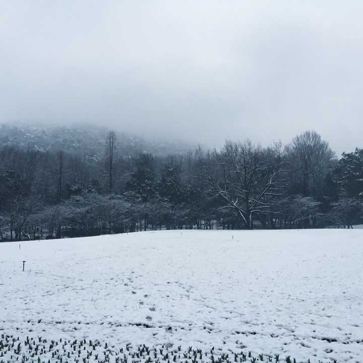 如何用iphone6 6p拍出高逼格的雪景 知乎 如何用iphone6 6p拍出高逼格的雪景 知乎
