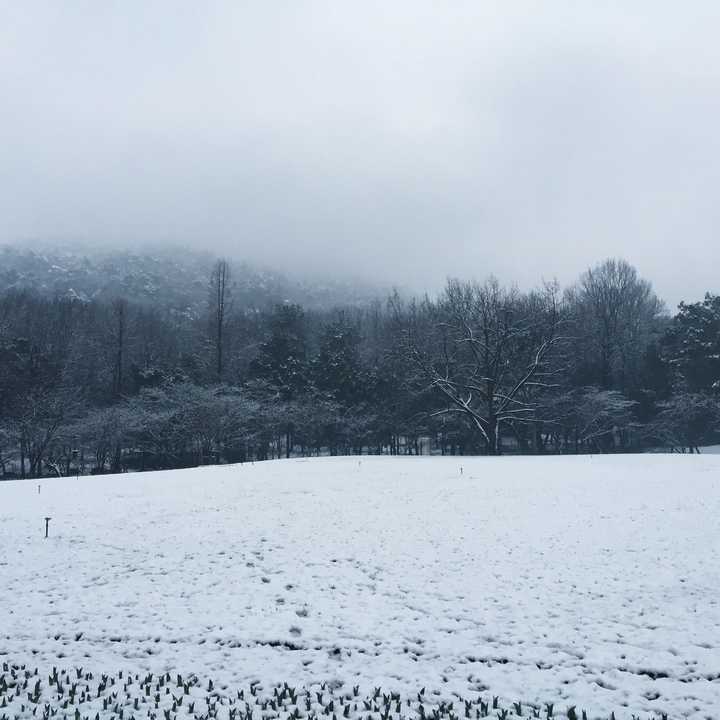 如何用iphone6 6p拍出高逼格的雪景 知乎