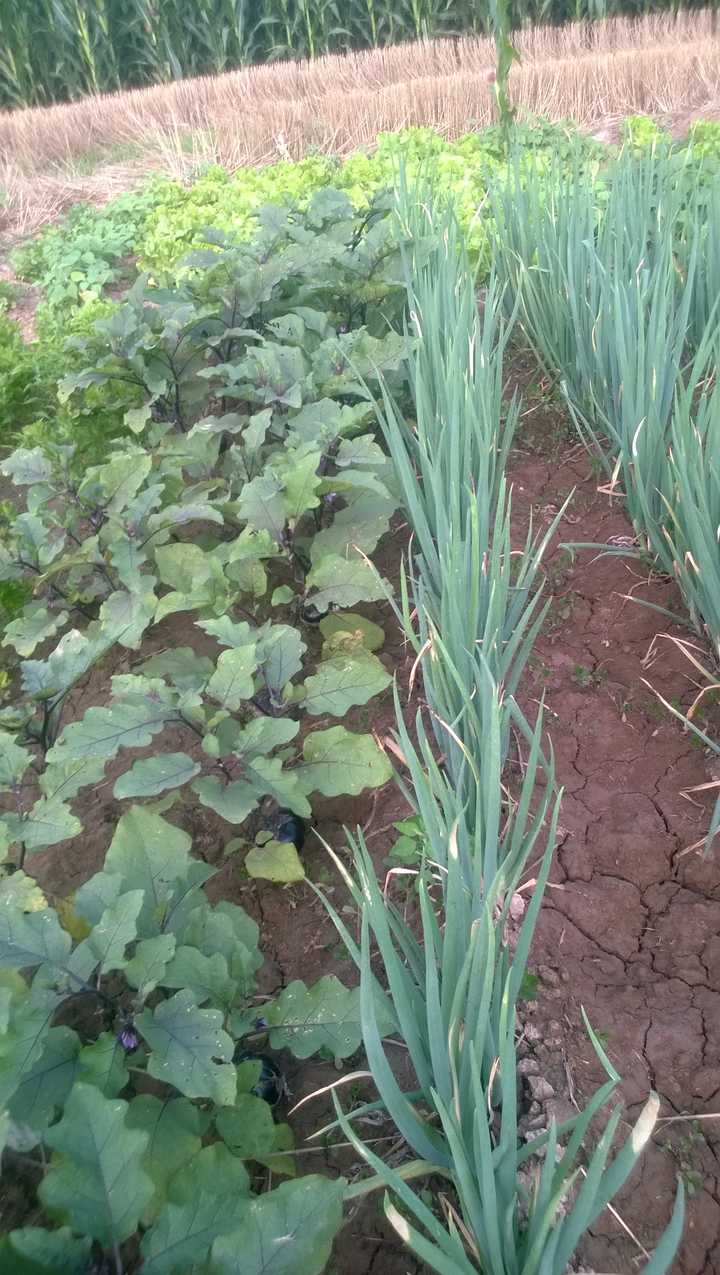 农村的自给自足的生活是不是毫无意义?