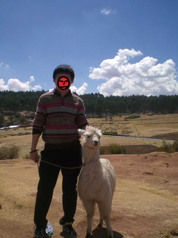 羊驼的口感是怎样的?