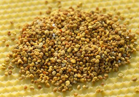 蜂蜜 花粉 蜂王浆 蜂胶的确有保健或治疗功能么 具体是哪些呢 知乎