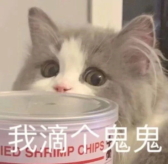 有什么可爱的文案?