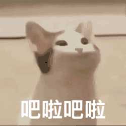 求最近比较火的pop猫的动态表情包? - 知乎