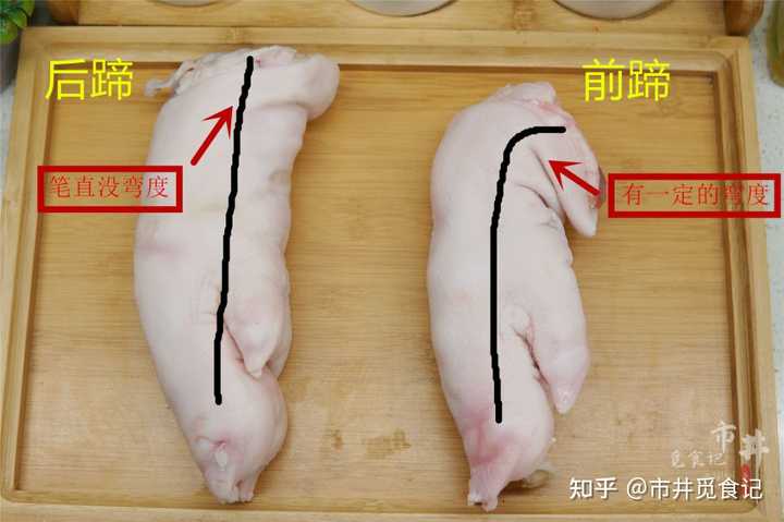 猪蹄的前蹄好还是后蹄好吃? - 知乎