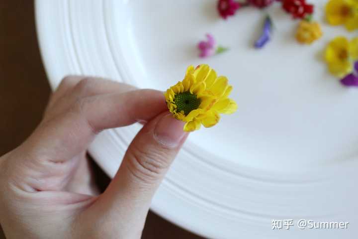 有哪些花可以吃 可以做食材 知乎 有哪些花可以吃 可以做食材 知乎