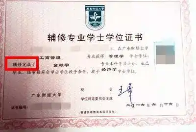 大学本科双学位有说服力么 要不要去学双学位 如何看待双学位 知乎