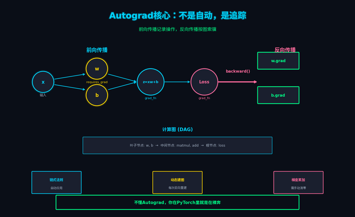 如何快速理解PyTorch自动梯度（Autograd）的原理？ - 知乎