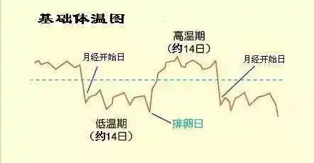 如何科学有效的备孕 心晓闺蜜的回答 知乎