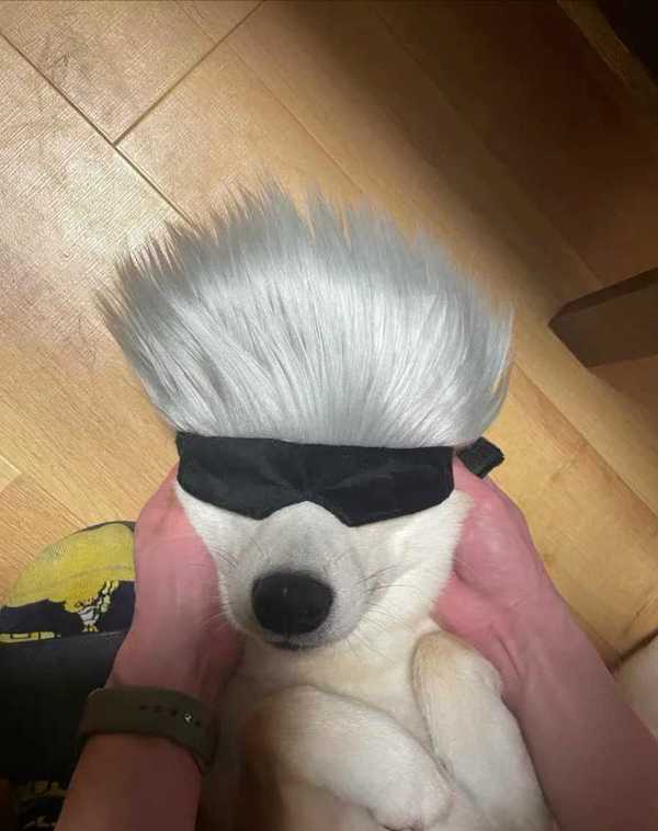 hhhh,不能说完全一致,只能说是一模一样～#5t5##今日沙雕图