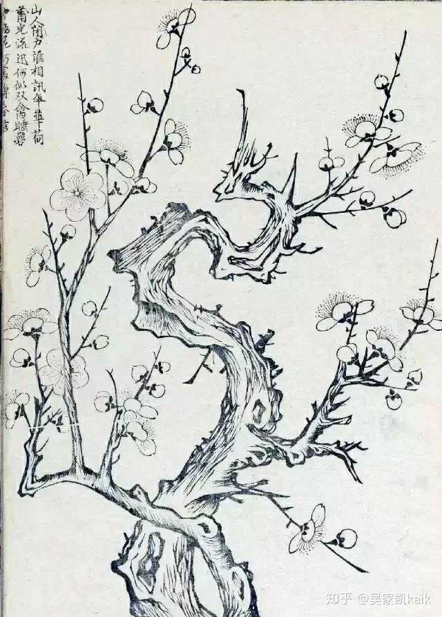从专业角度看肖战微博发的梅花设计得怎么样