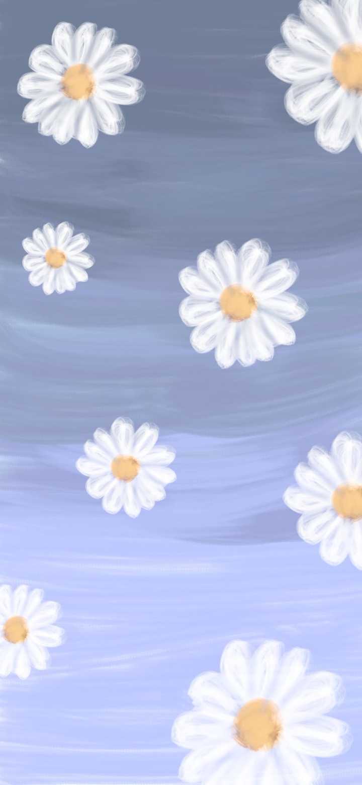 有哪些让人一眼就喜欢的全面屏壁纸 知乎