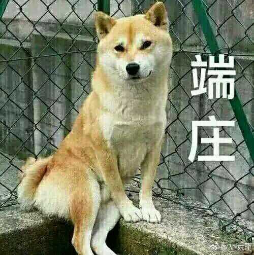 如何面对大学里的一堆无聊但必须参加的活动 知乎