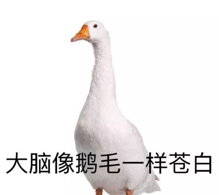 有什么可爱的文案?
