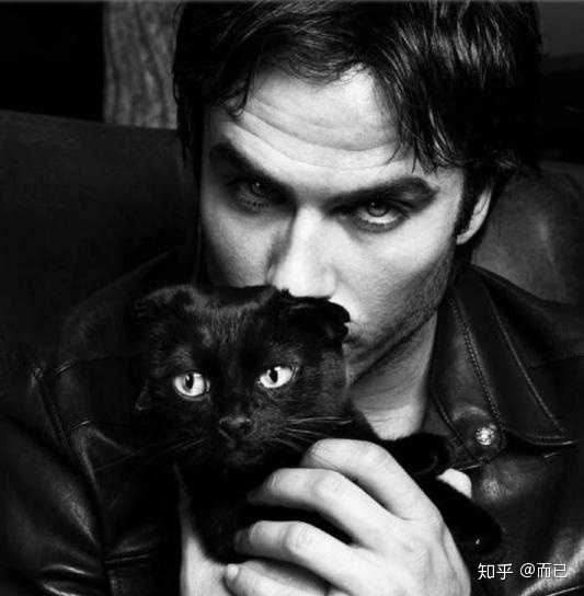 在《吸血鬼日记》中,达蒙和斯特凡,这两种风格的男人,女生一般会选哪