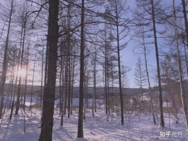 北极村圣诞村_北极村圣诞村门票价格_北极圣诞村