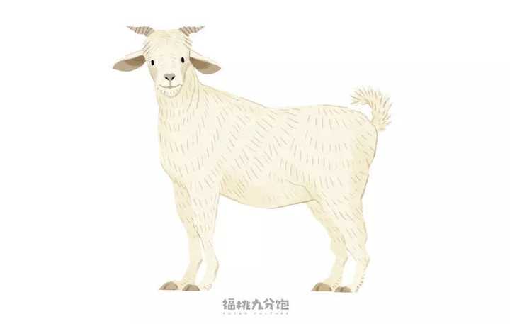 羊肉有什么好吃 好做 又健康的吃法 知乎 羊肉有什么好吃 好做 又健康的吃法 知乎