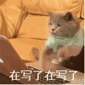 动图封面