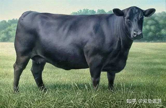 肉質画【牛】油彩画 牛年大吉，西方人油画里牛为啥是长方形？_母牛