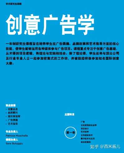还有私立艺术类院校naba一年制的研究生专业:创意广告学