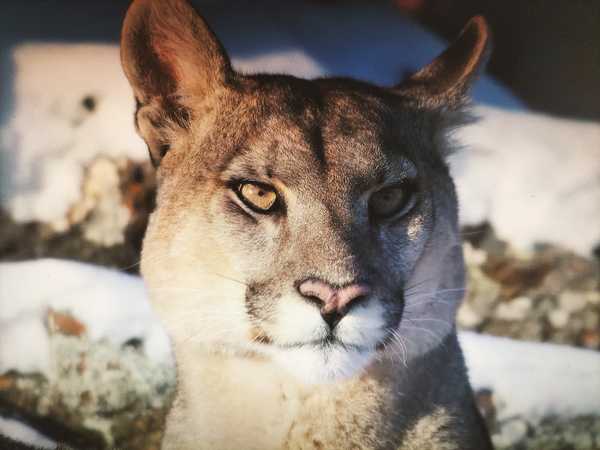 职场上，如何让自己不成为软柿子？