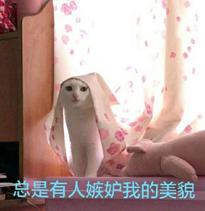 有什么可爱的文案?
