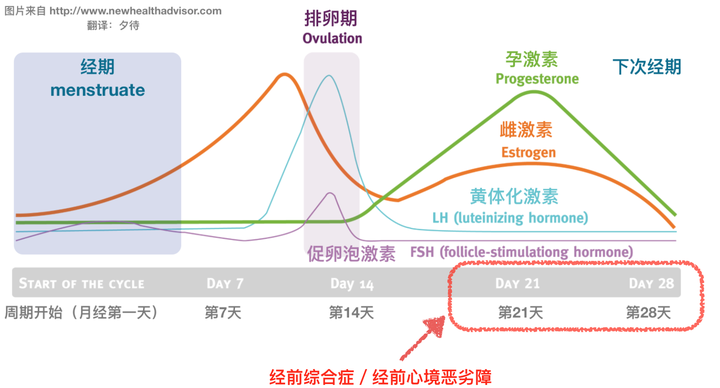 女友 经前综合症 怎么办?