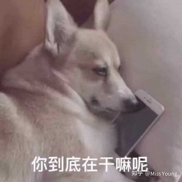 有哪些对视力伤害很大的行为 知乎 有哪些对视力伤害很大的行为 知乎