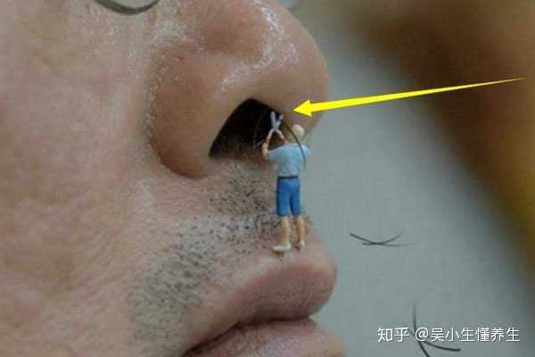鼻毛太长是剪掉好还是拔掉好 知乎 鼻毛太长是剪掉好还是拔掉好 知乎