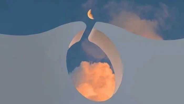 大家有哪些温柔的图片呢？