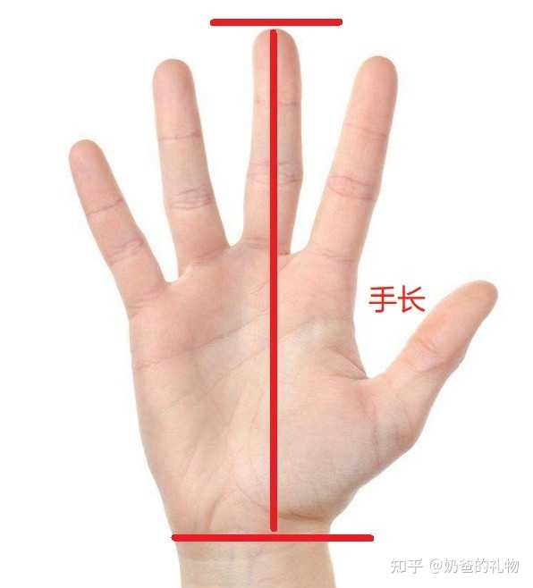 罗技KDA鼠标G304和G502哪个好点? - 知乎