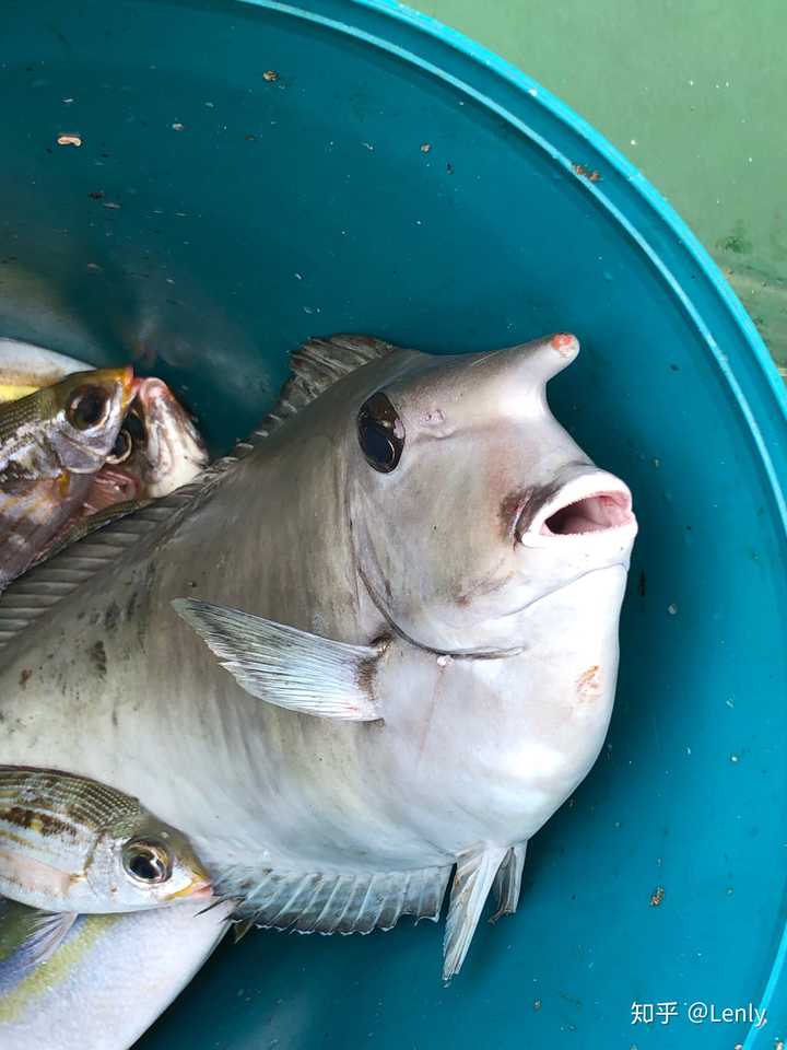 國務院批准海南省三沙市設立市轄區,意味著什麼?