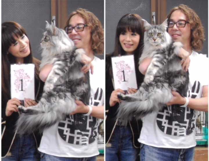 女生是不是都要大眼睛才好看 有没有哪些眼睛不大但是看起来很有feel的妹子 知乎