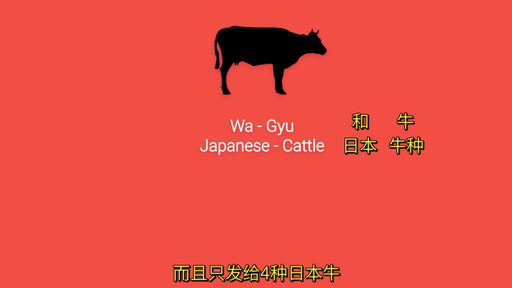 日本和牛为什么那么贵 知乎