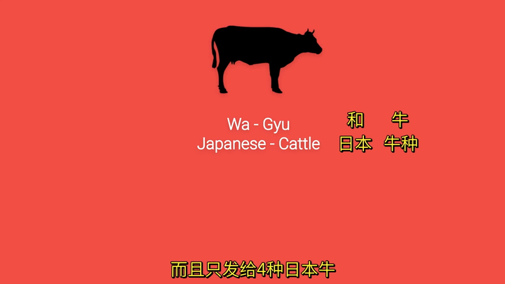 日本和牛为什么那么贵 知乎 日本和牛为什么那么贵 知乎