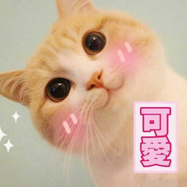 你在哪个瞬间感受到了生活的温暖？